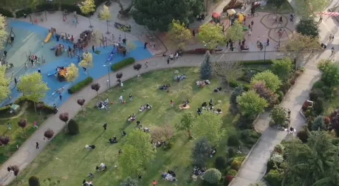Haber Resmi