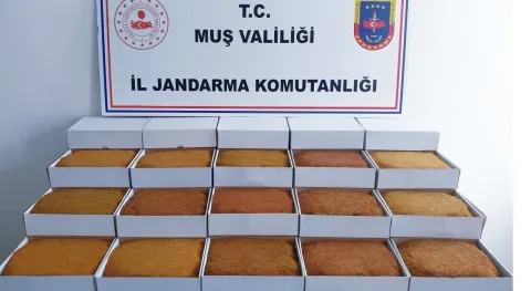 Haber Resmi