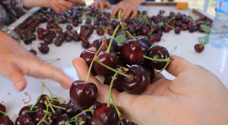 15 Aralık’ta okullarda "Coğrafi İşaret Günü" kutlanacak