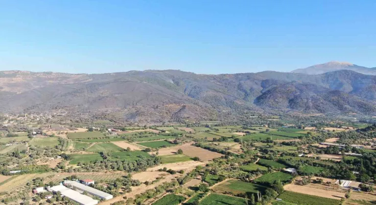3 gündür devam eden orman yangını sonrası Ödemiş’in yemyeşil dağları kül oldu