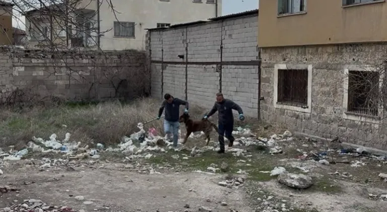 3 yaşındaki çocuğuna köpek saldıran baba: "Köpeğin çocuğumuzu bırakması için çok uğraştık"