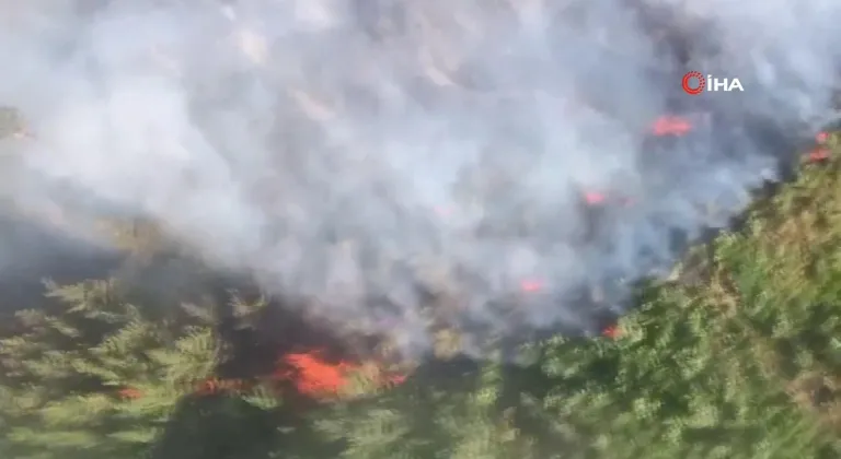 Alanya ve Aksu’da çıkan orman yangınını söndürme çalışması sürüyor