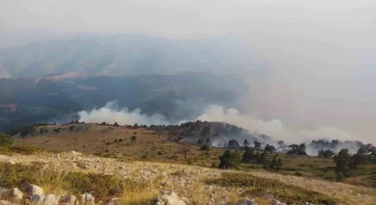 Amasya’da çıkan orman yangınında 35 hektar alan zarar gördü
