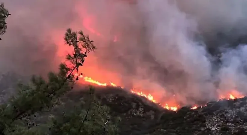 Antalya Kaş’ta orman yangınına müdahale sürüyor