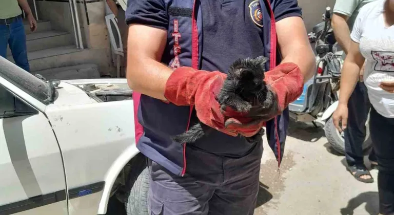Hatay'da aracın motoruna giren yavru kediyi itfaiye kurtardı