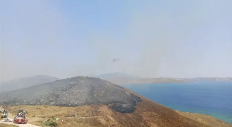 Avşa Adası’nda çıkan yangın kontrol altına alındı
