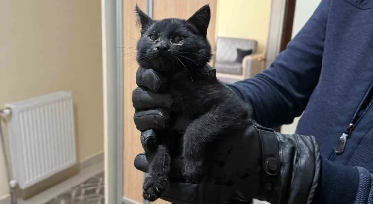 Bacaya giren kedi itfaiyenin 6 saatlik operasyonuyla kurtarıldı