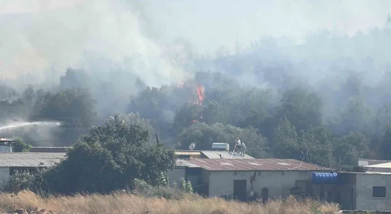 Bodrum’da makilik alanda yangın paniği