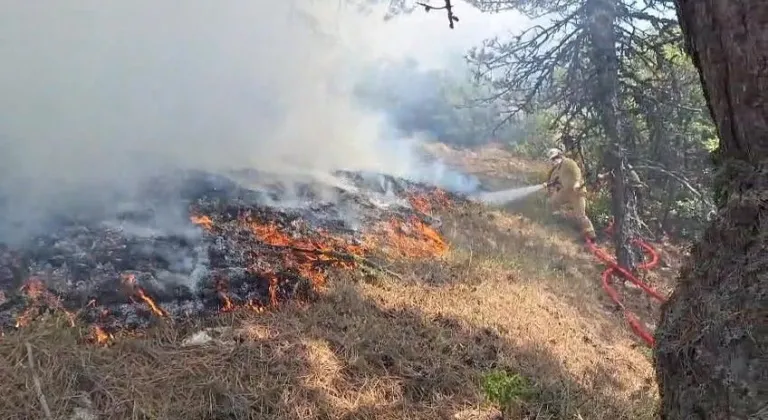 Bolu’da başlayan orman yangınına havadan ve karadan müdahale sürüyor