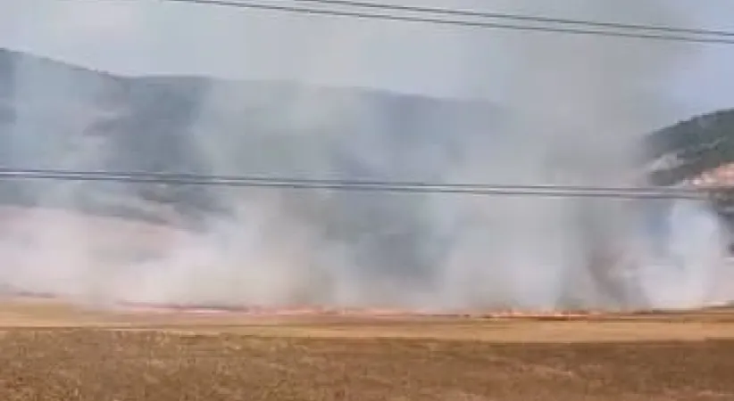 Bursa’da tarlalık alanı ateşe veren şüpheli yakalandı