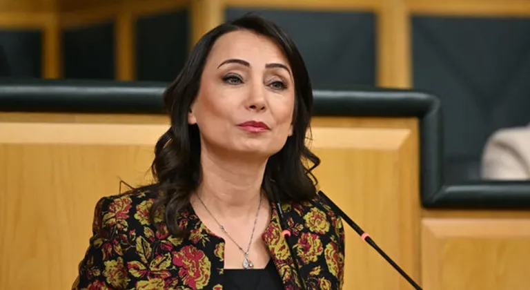 DEM Parti Genel Başkanı Hatimoğulları’ndan ’İmralı görüşmesi’ açıklaması