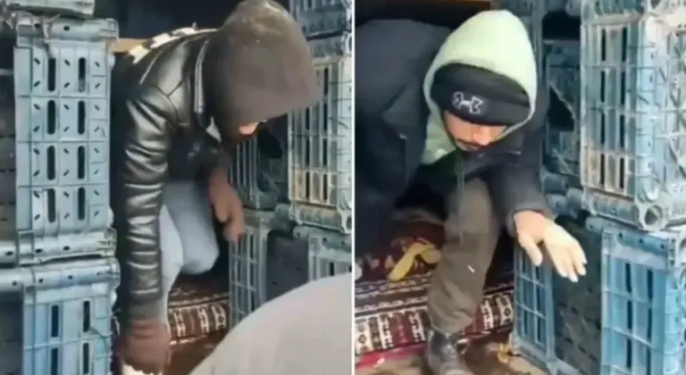 Düzce’de 13 düzensiz göçmen yakalandı