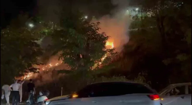 Sakarya'da eğlence için yakılan meşale yangın çıkardı