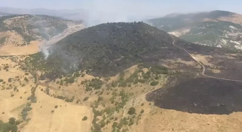 Elazığ’daki orman yangını kontrol altına alındı