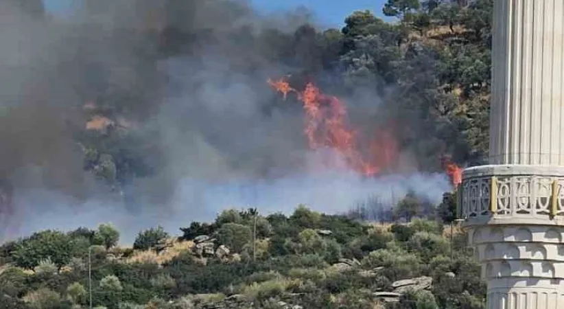 Gebze’de orman yangını başladı