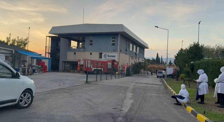 Gemlik Serbest Bölge’de çıkan yangın paniğe neden oldu