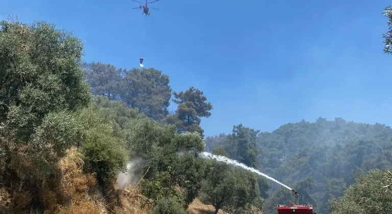 Germencik’teki orman yangını kontrol altına alındı