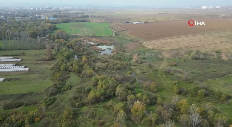 Gürcistan’da Türk vatandaşı ormanlık alandaki araçta ölü bulundu