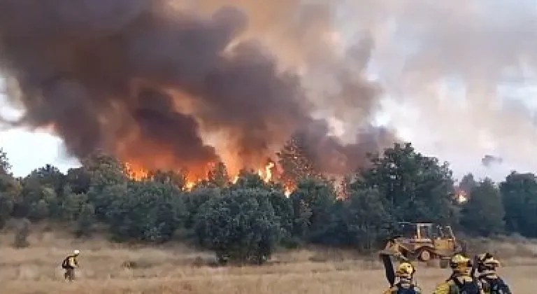 Suriye Hama’da çıkan orman yangını 5 gündür söndürülemiyor