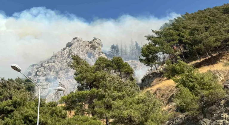 Hatay’da orman yangını çıktı