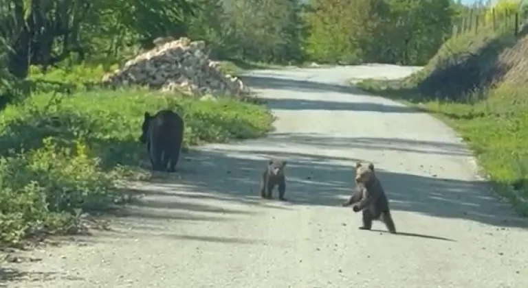 Kardeşlerin anne ayı ve yavruları ile sohbeti gülümsetti