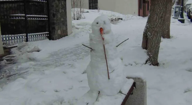 Kars’ta Mart ayında yağan kar, kenti yeniden beyaza bürüdü