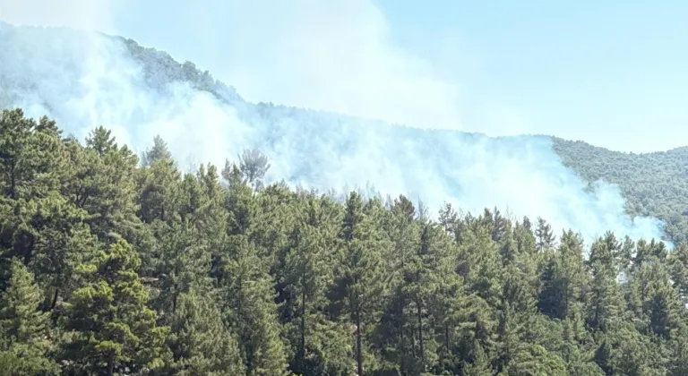 Kaş’ta orman yangını çıktı