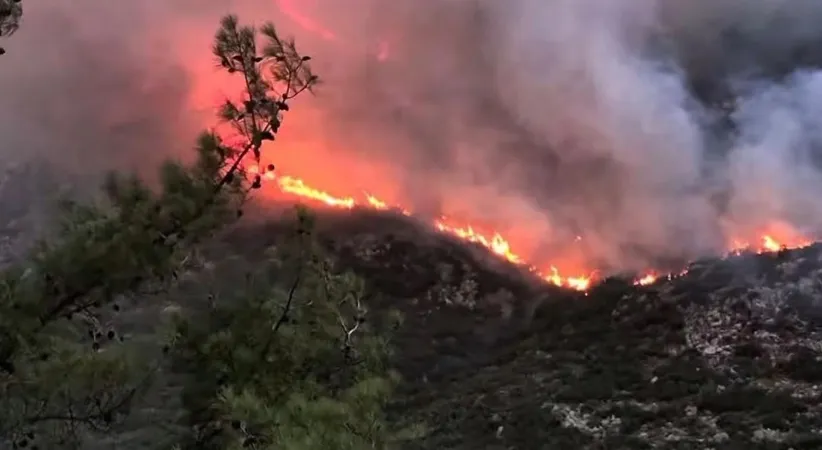 Kaş’da çıkan orman yangınına havadan ve karadan müdahale ediliyor