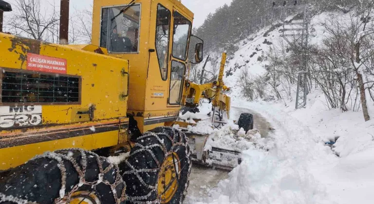 Kastamonu’da kardan yolu kapanan köy sayısı 790’a yükseldi
