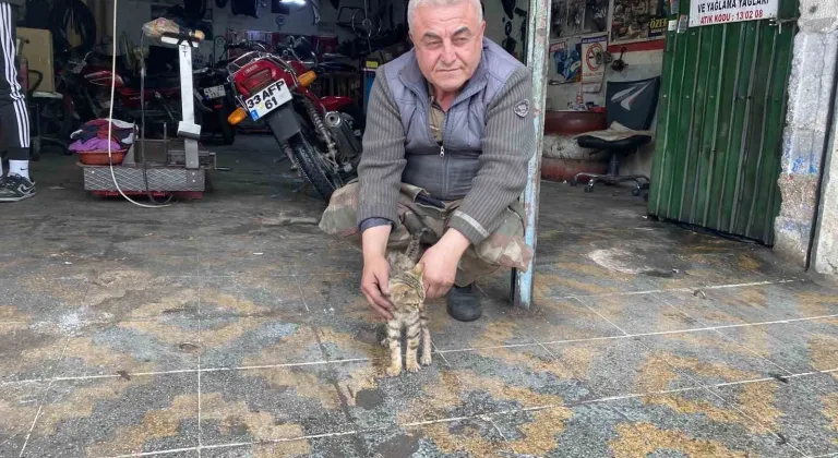 Manisalı esnafın duyarlılığı bir kedinin hayatını kurtardı