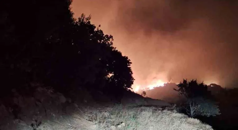 Manisa’nın Köprübaşı ilçesinde orman yangını başladı