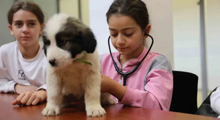 Bursa'da minik veterinerler görev başında