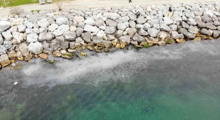 Moda Sahili’ni denizanası bastı