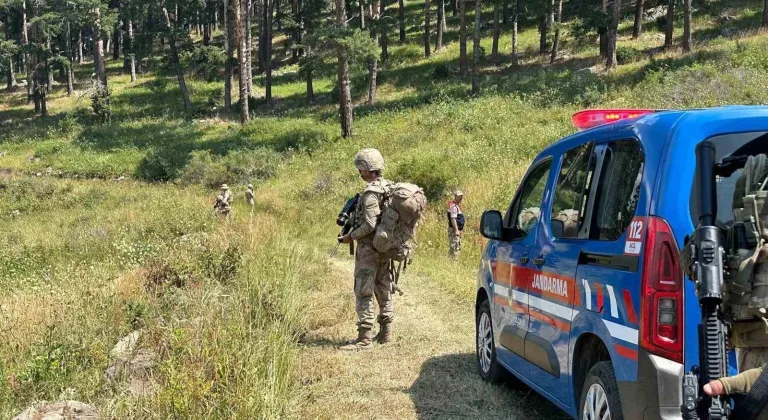 Erzurum'da ormanda mangal yakan 11 kişiye 32 bin TL para cezası verildi