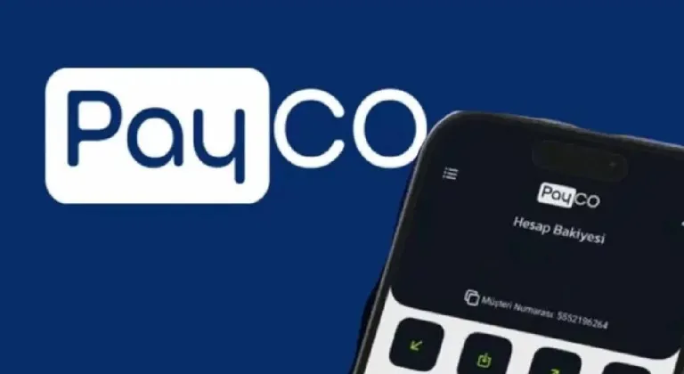 PAYCO Elektronik Para ve Ödeme Hizmetleri’ne 2. dalga operasyon: 28 gözaltı