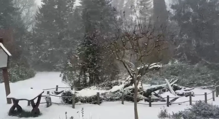 Sarıyer’in yüksek kesimleri karla kaplandı