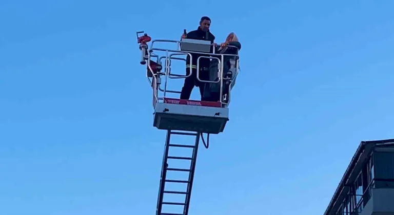 Şarja takılı telefon bataryası patladı, evde yangın çıktı