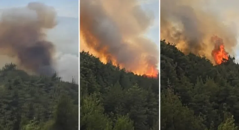 Sındırgı’da orman yangınına havadan ve karadan müdahale sürüyor