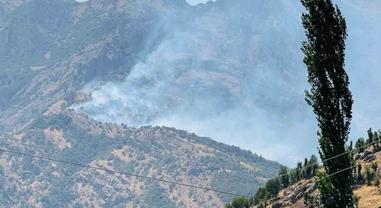 Şırnak’ta çıkan orman yangını kontrol altına alınamıyor