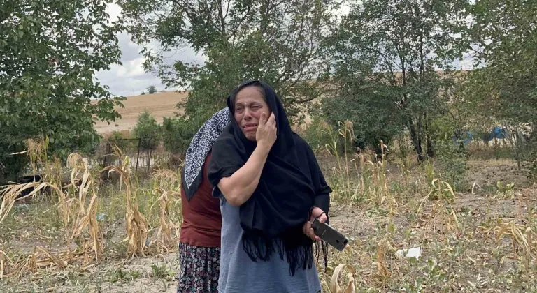 Tekirdağ’da yavru kedilerin yangında mahsur kalması panik yarattı