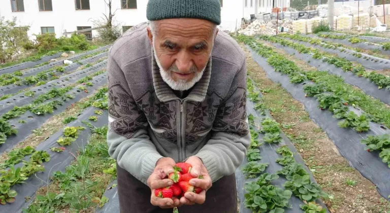 Yoldan geçenlere bahçesinden ikram eden hayırsever hayatını kaybetti