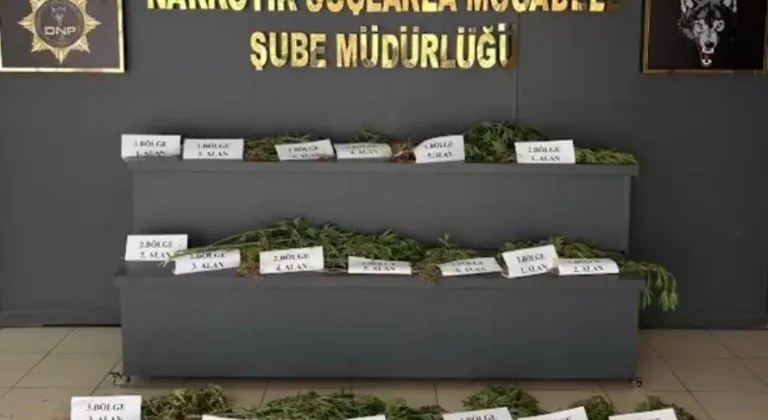 UNESCO Dünya Mirası Listesi’ndeki Hevsel Bahçeleri’nde uyuşturucu ele geçirildi