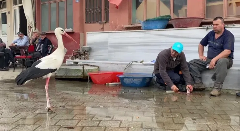 Yaren’in rakibi olan Bilal Leylek "baba" oldu
