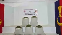 Haber Resmi