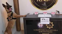 Haber Resmi